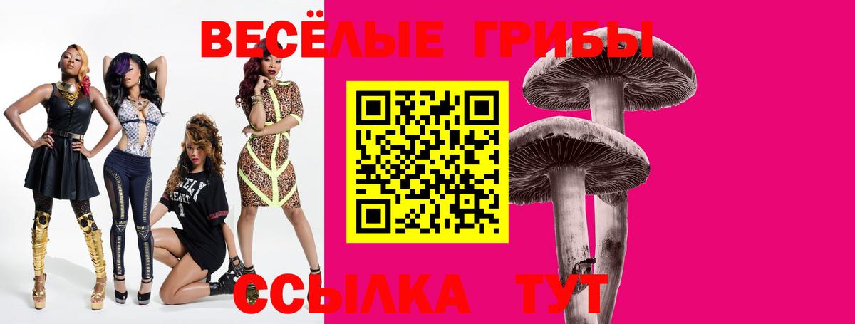 Димитровград  Псилоцибиновые грибы Magic Shrooms  Вход с VPN 